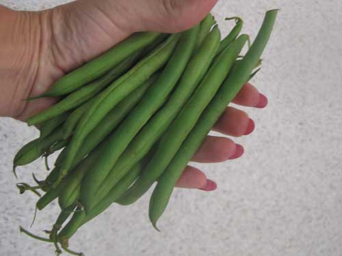 green-beans-whole.jpg